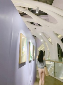 预览图11