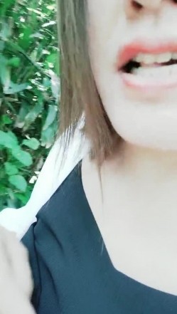 预览图4