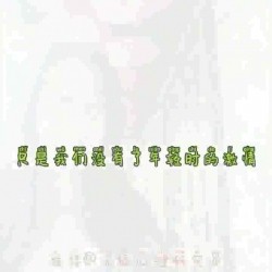 预览图4