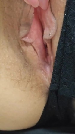 预览图15