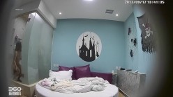 预览图13