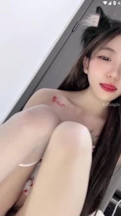 预览图13