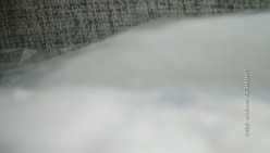 预览图10