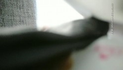 预览图14