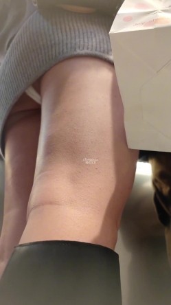 预览图8