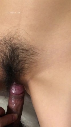 预览图4