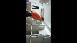 预览图10