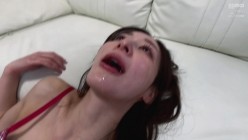 预览图6