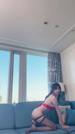 预览图16