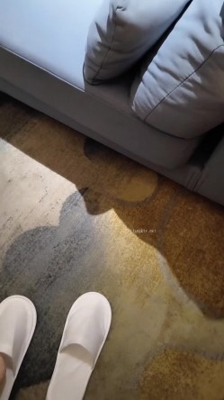 预览图8