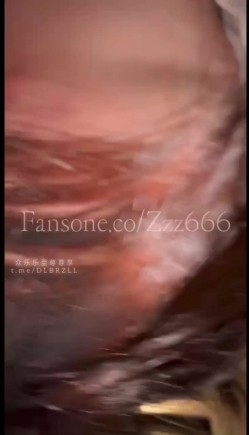 预览图4