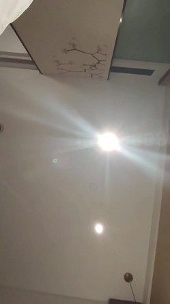 预览图7