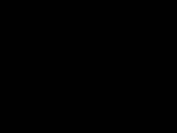 预览图16