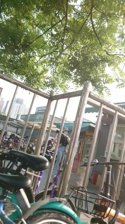 预览图15