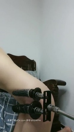 预览图5