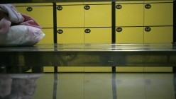 预览图8
