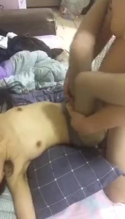预览图16