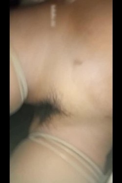 预览图4