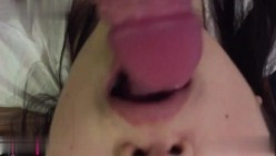 预览图6