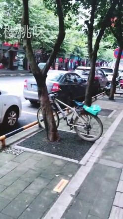 预览图1