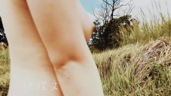 预览图14