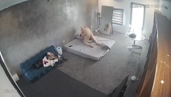 预览图9