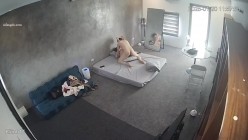 预览图14