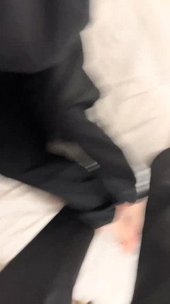 预览图4