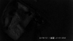 预览图12