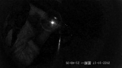 预览图13