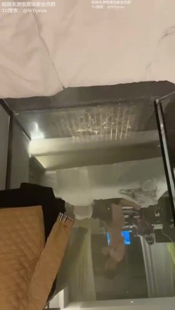 预览图8