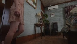 预览图4