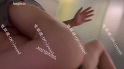 预览图14