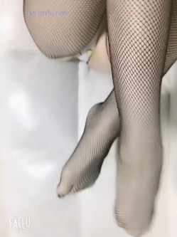 预览图7