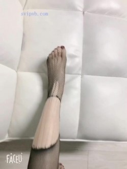 预览图14