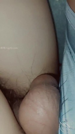 预览图12