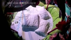 预览图5