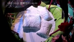 预览图6