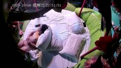 预览图11