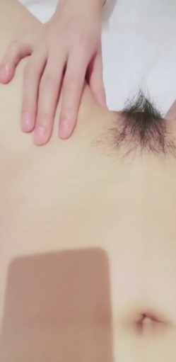 预览图4
