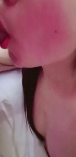 预览图8