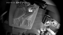 预览图8