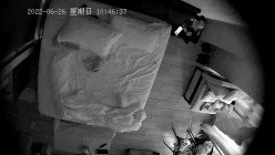 预览图13