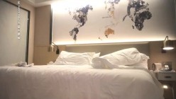 预览图9