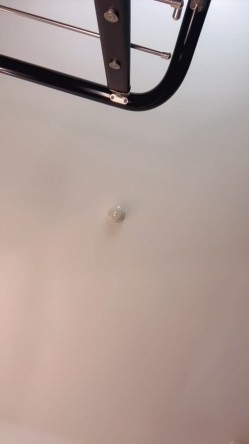 预览图8
