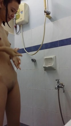 预览图4