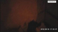 预览图8
