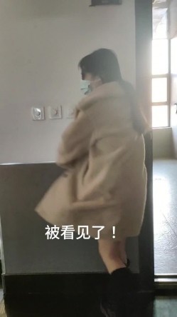 预览图4