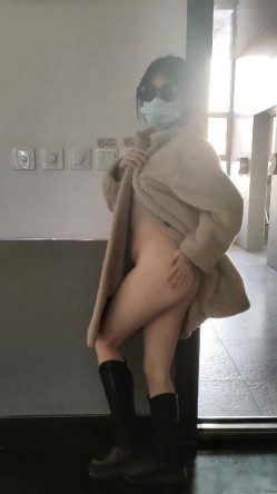 预览图13