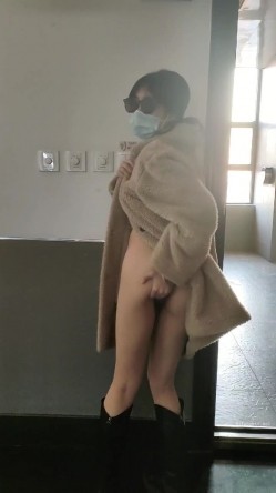 预览图14